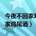 今夜不回家鸡尾酒配方做法（怎么做今夜不回家鸡尾酒）