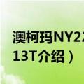 澳柯玛NY22A9-13T（关于澳柯玛NY22A9-13T介绍）