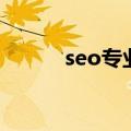 seo专业术语（seo是什么意思）