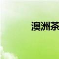 澳洲茶树（关于澳洲茶树介绍）