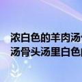 浓白色的羊肉汤骨头汤里白色的主要是什么（浓白色的羊肉汤骨头汤里白色的主要是脂肪）