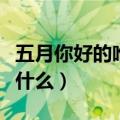 五月你好的唯美句子（五月你好的唯美句子有什么）