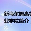 新乌尔姆高等专业学院（关于新乌尔姆高等专业学院简介）