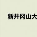 新井冈山大桥（关于新井冈山大桥简介）