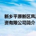 新乡平原新区凤湖投资有限公司（关于新乡平原新区凤湖投资有限公司简介）