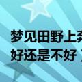 梦见田野上奔跑是什么意思（梦见田野上奔跑好还是不好）