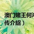 澳门赌王何鸿燊全传（关于澳门赌王何鸿燊全传介绍）