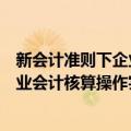 新会计准则下企业会计核算操作实务（关于新会计准则下企业会计核算操作实务简介）