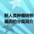 新人类肿瘤转移抑制基因的分离（关于新人类肿瘤转移抑制基因的分离简介）