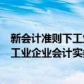 新会计准则下工业企业会计实务 第2版（关于新会计准则下工业企业会计实务 第2版简介）