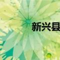 新兴县站（关于新兴县站简介）