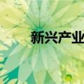 新兴产业股（关于新兴产业股简介）