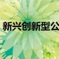 新兴创新型公司（关于新兴创新型公司简介）