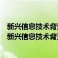 新兴信息技术背景下我国个人信息安全保护体系研究（关于新兴信息技术背景下我国个人信息安全保护体系研究简介）