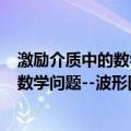 激励介质中的数学问题--波形图斑理论（关于激励介质中的数学问题--波形图斑理论介绍）