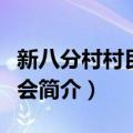 新八分村村民委员会（关于新八分村村民委员会简介）