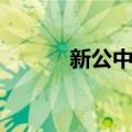 新公中镇（关于新公中镇简介）