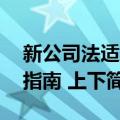 新公司法适用指南 上下（关于新公司法适用指南 上下简介）