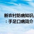 新农村防病知识丛书：手足口病（关于新农村防病知识丛书：手足口病简介）