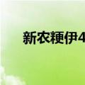 新农粳伊4号（关于新农粳伊4号简介）