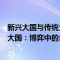 新兴大国与传统大国：博弈中的合作（关于新兴大国与传统大国：博弈中的合作简介）