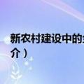 新农村建设中的金融问题（关于新农村建设中的金融问题简介）