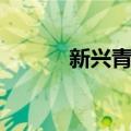 新兴青梅（关于新兴青梅简介）