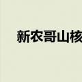 新农哥山核桃（关于新农哥山核桃简介）