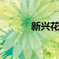 新兴花园（关于新兴花园简介）