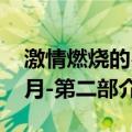 激情燃烧的岁月-第二部（关于激情燃烧的岁月-第二部介绍）