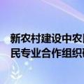 新农村建设中农民专业合作组织研究（关于新农村建设中农民专业合作组织研究简介）