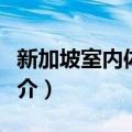 新加坡室内体育馆（关于新加坡室内体育馆简介）