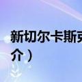 新切尔卡斯克事件（关于新切尔卡斯克事件简介）