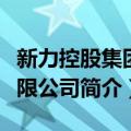 新力控股集团有限公司（关于新力控股集团有限公司简介）