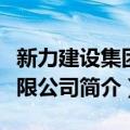 新力建设集团有限公司（关于新力建设集团有限公司简介）