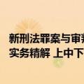 新刑法罪案与审判实务精解 上中下（关于新刑法罪案与审判实务精解 上中下简介）