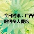 今日时讯：广西榴莲大量上市部分降至1斤20元 价格大降合肥很多人爱吃