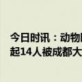 今日时讯：动物园回应游客用激光笔照射大熊猫 24天通报5起14人被成都大熊猫基地处罚