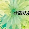 cf战队名字（cf战队名字有什么）