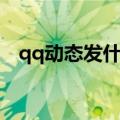 qq动态发什么说说好（适合发的qq签名）