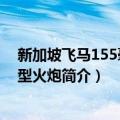 新加坡飞马155毫米重型火炮（关于新加坡飞马155毫米重型火炮简介）