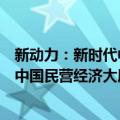 新动力：新时代中国民营经济大展望（关于新动力：新时代中国民营经济大展望简介）