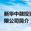 新华中融投资有限公司（关于新华中融投资有限公司简介）