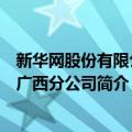 新华网股份有限公司广西分公司（关于新华网股份有限公司广西分公司简介）