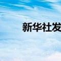 新华社发布（关于新华社发布简介）