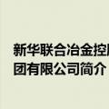 新华联合冶金控股集团有限公司（关于新华联合冶金控股集团有限公司简介）