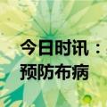 今日时讯：感染布病后有什么症状 应该怎样预防布病