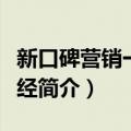 新口碑营销一本正经（关于新口碑营销一本正经简介）