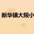 新华镇大陵小学（关于新华镇大陵小学简介）