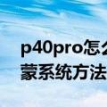 p40pro怎么升级鸿蒙系统（p40pro升级鸿蒙系统方法介绍）